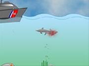 Shark Attack