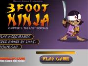 3 Foot Ninja