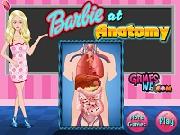 Barbie A Lezione Di Anatomia