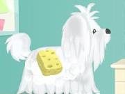 Cutie Pet Care