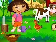 Dora Alla Fattoria