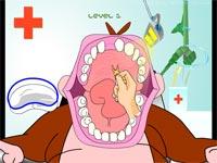 Dentista Di Gorilla