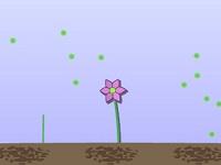 Il Gioco Dei Semi