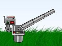 Kitten Cannon