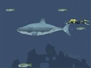 Mad Shark