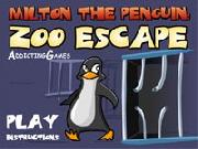 Milton The Penguin Zoo Escape