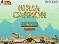 Ninja Cannon