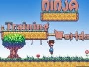 Ninja Training Worlds