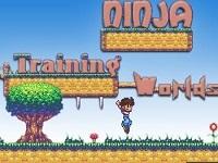 Ninja Training Worlds