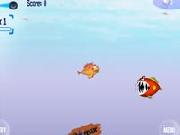 Odissea Nell Oceano