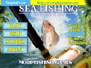 Pesca In Mare