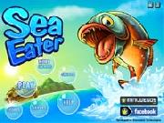 Pesci Predatori Di Mare