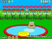 Pou Bounce