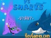 Seal Vs Shark