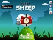 Suicide Sheep