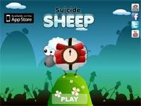 Suicide Sheep