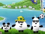 3 Pandas In Brasile