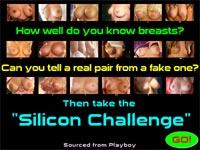 Silicon Challenge
